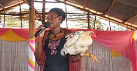Chicken tithe to church 3